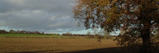 Neil Jackson banner