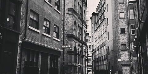 nii_badger's profile banner image