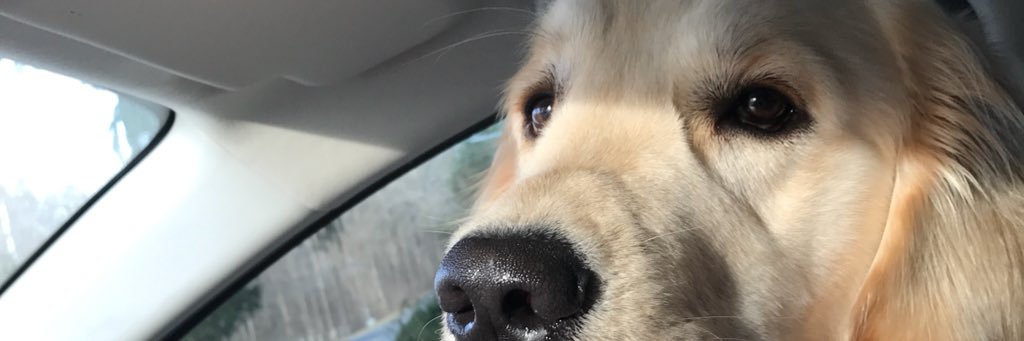 SammyBolin28's profile banner image
