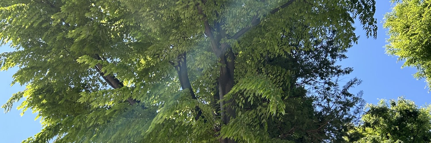 fairy726's profile banner image