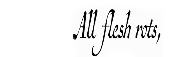 annaheIIoysa's profile banner image