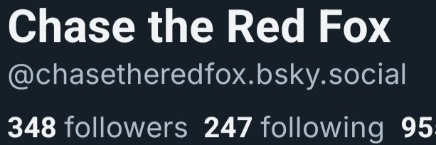 Chase the Fox 🦊's banner