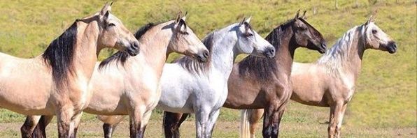 deisy957's profile banner image