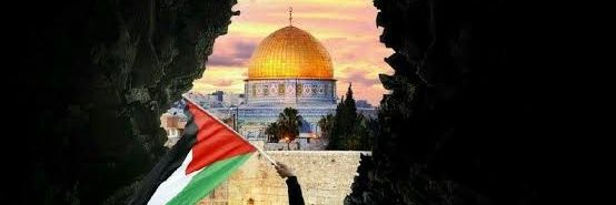 taha_elnile's profile banner image