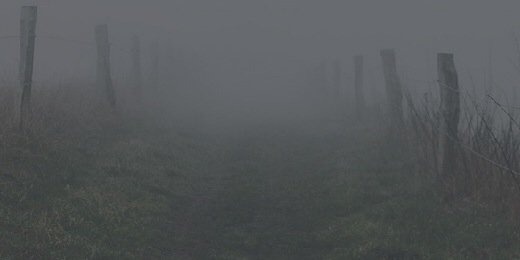 LLtheCH's profile banner image