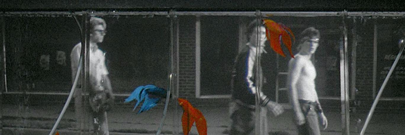 PetruAndres's profile banner image