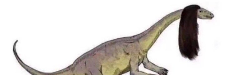 _kyleroche's profile banner image