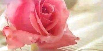 wawa_w11's profile banner image