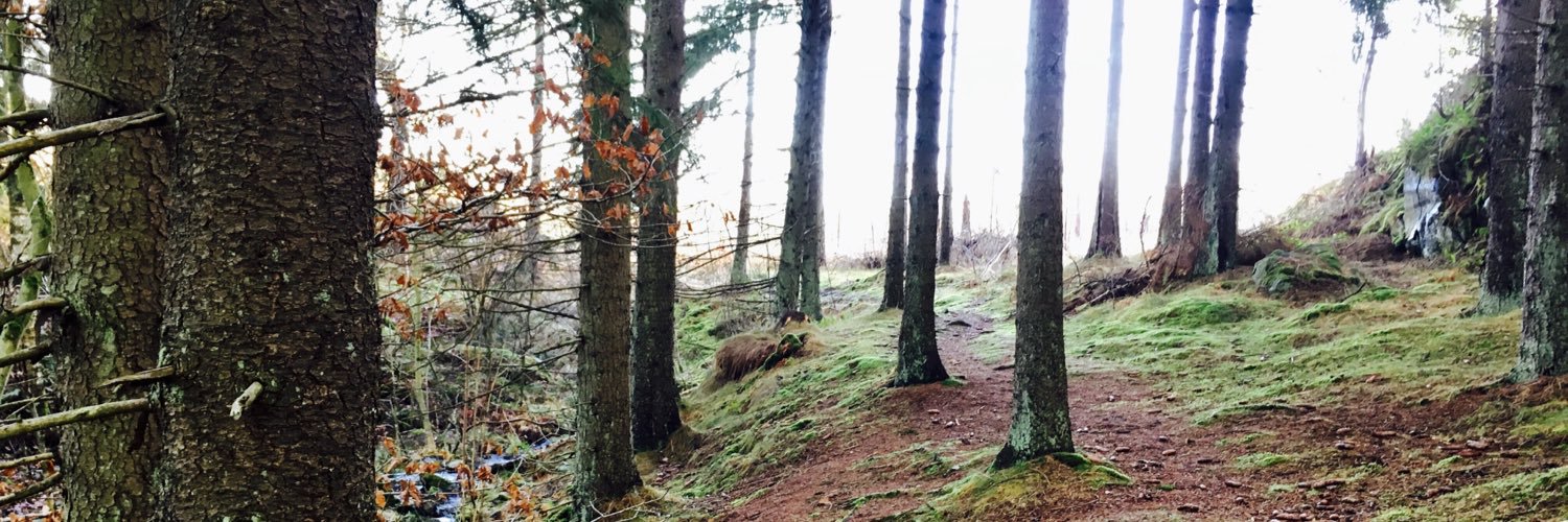 David Landerin banner