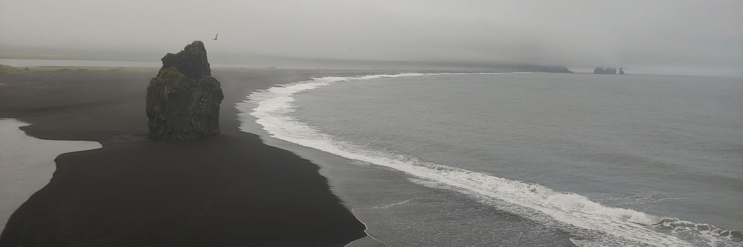 nellography's profile banner image