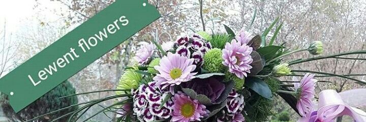 leventsimsek76's profile banner image