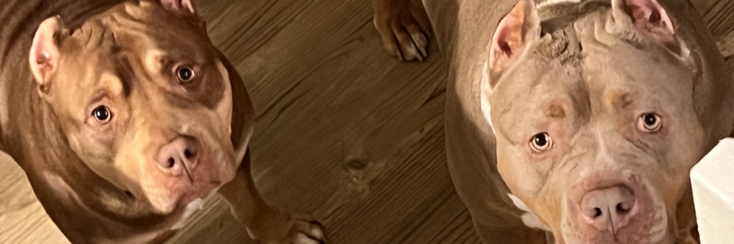 dvymnd's profile banner image