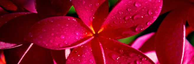 maarinaa2's profile banner image