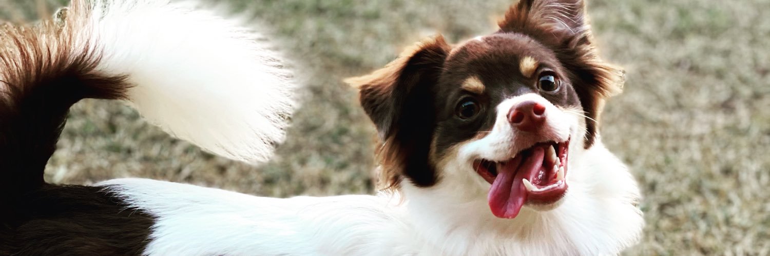 ShawteeGurl's profile banner image