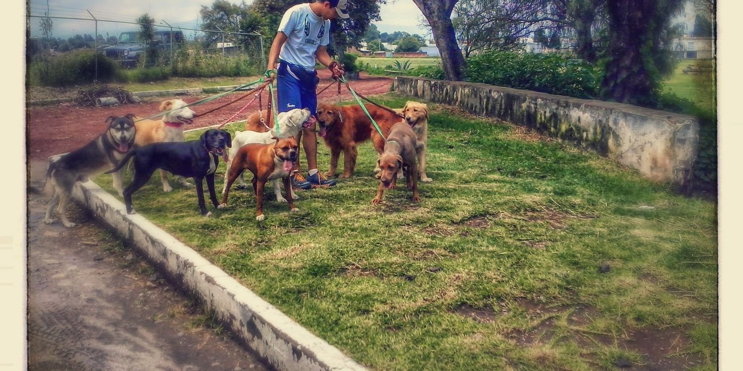dogfitmx3's profile banner image