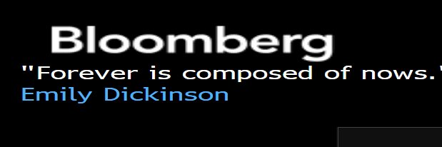 Ellen Vermorgen banner