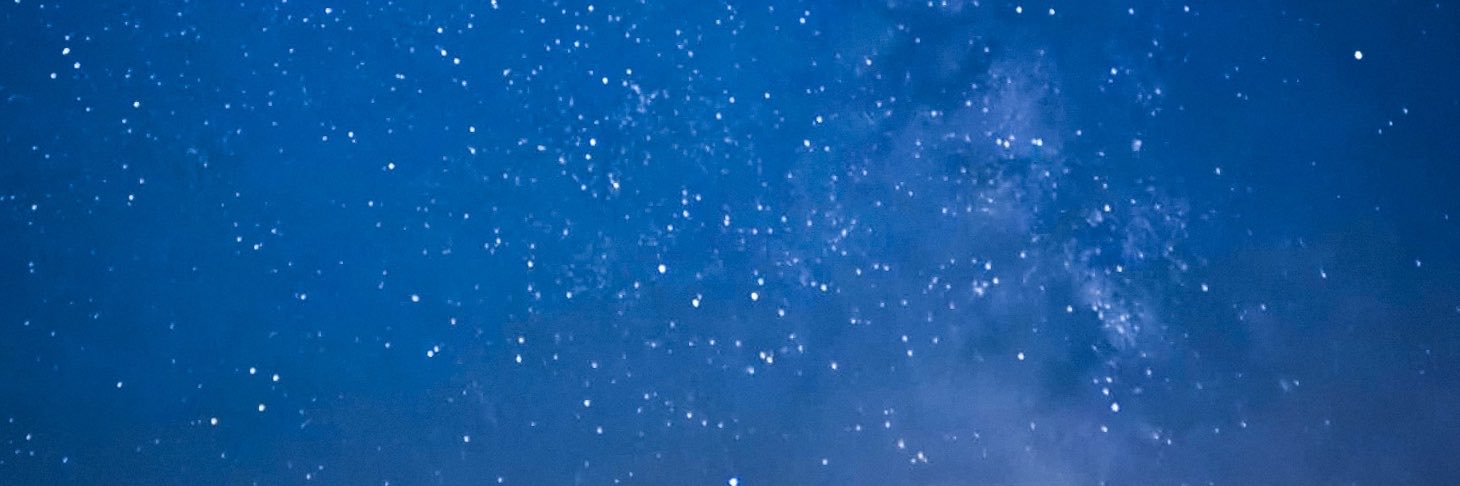 Stray_Neki's profile banner image