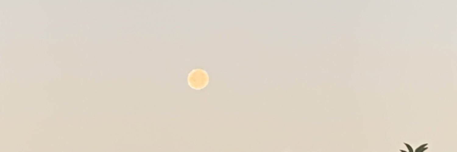 ShyneReposo's profile banner image