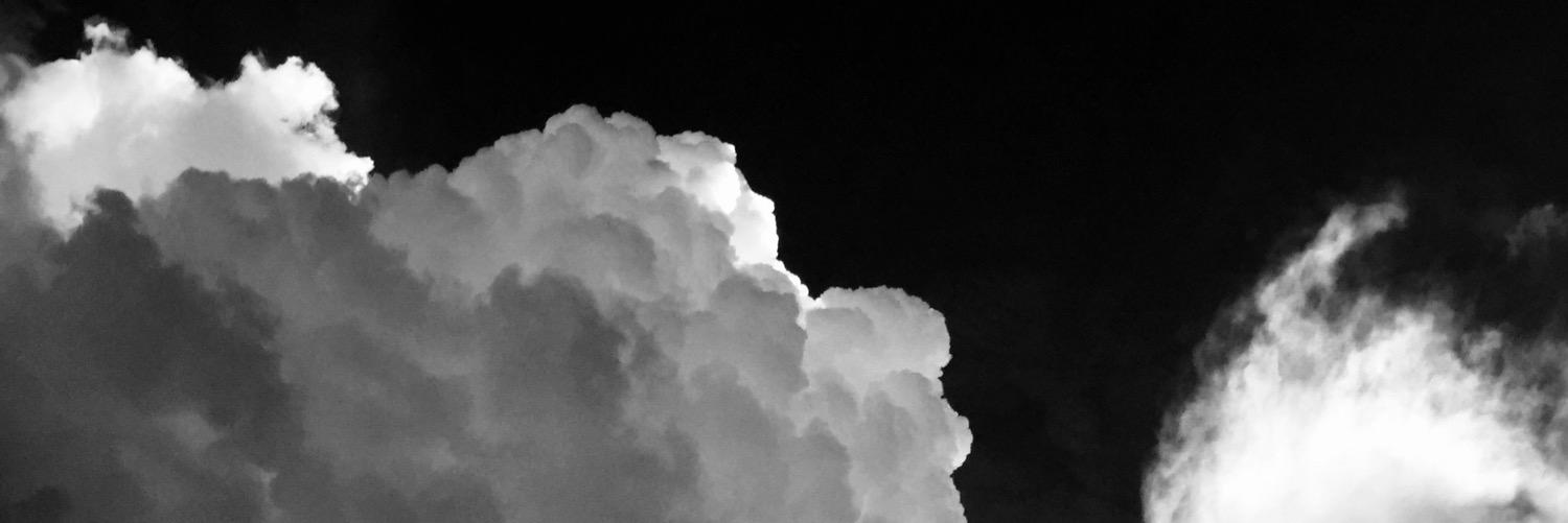 jamminpuga's profile banner image