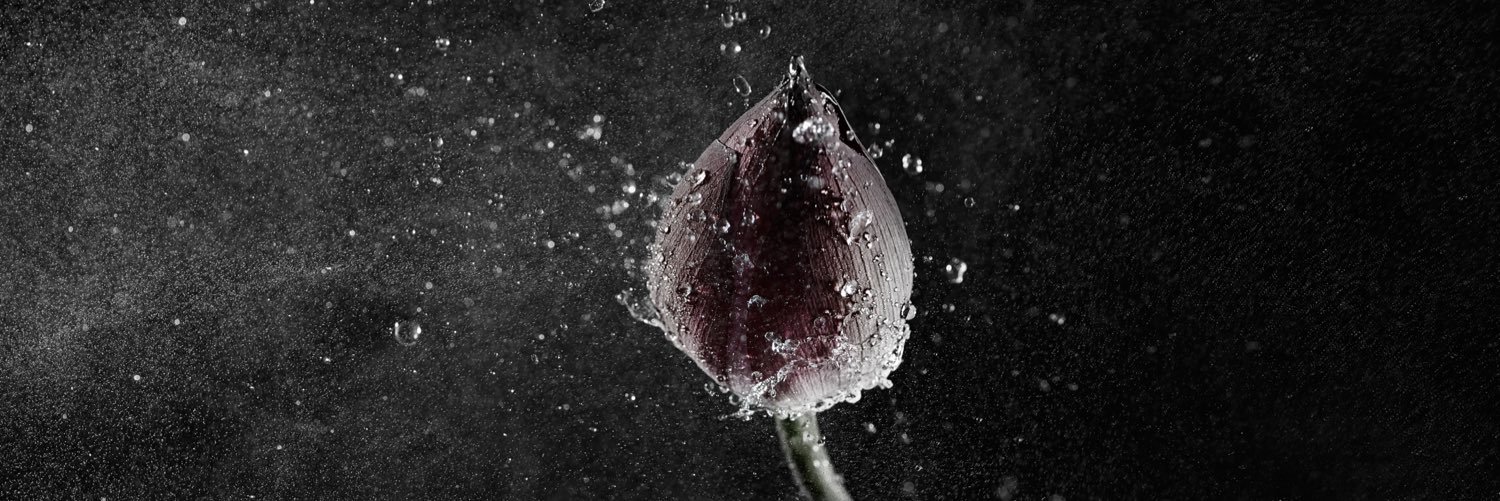 Ryutaro_522's profile banner image