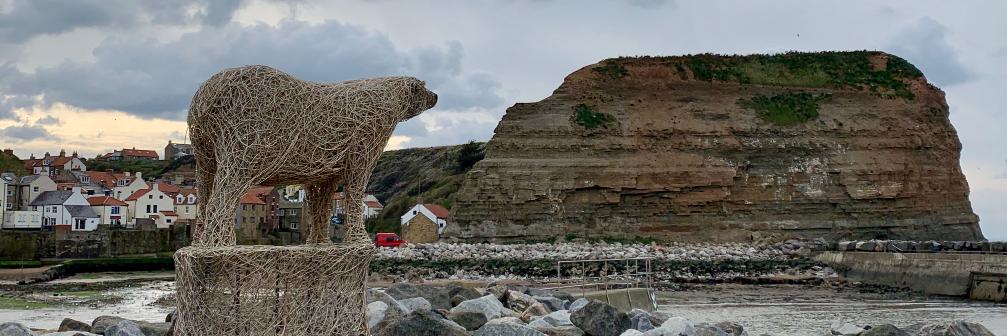 Sir Stuart Carlton banner