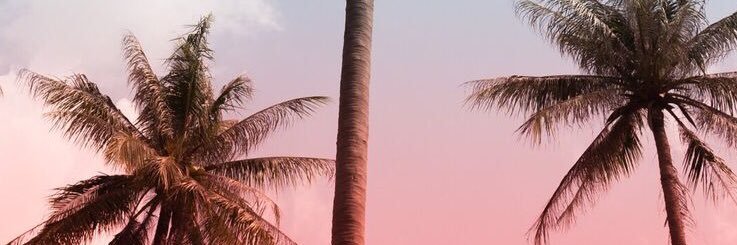 nazirmowzer_'s profile banner image