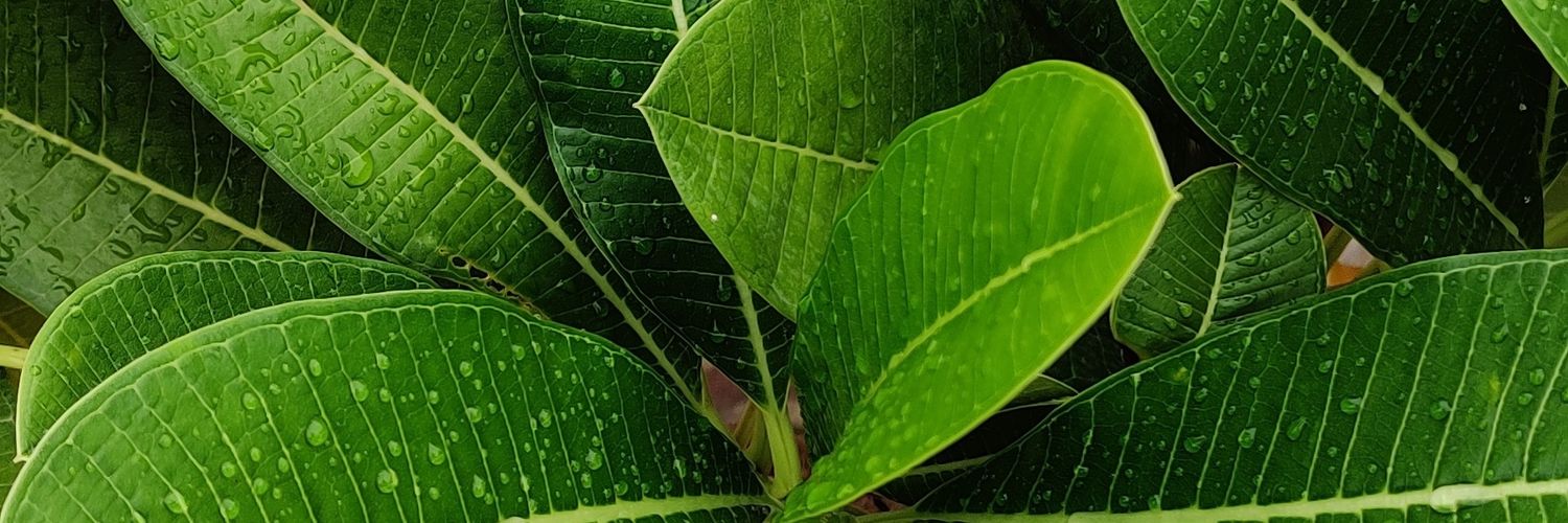 MohanParmar1's profile banner image