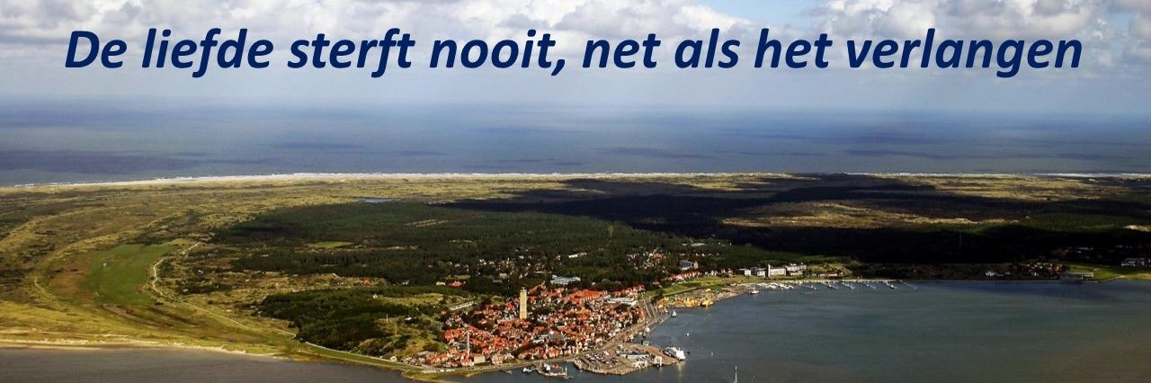 MarjoVerheij's profile banner image