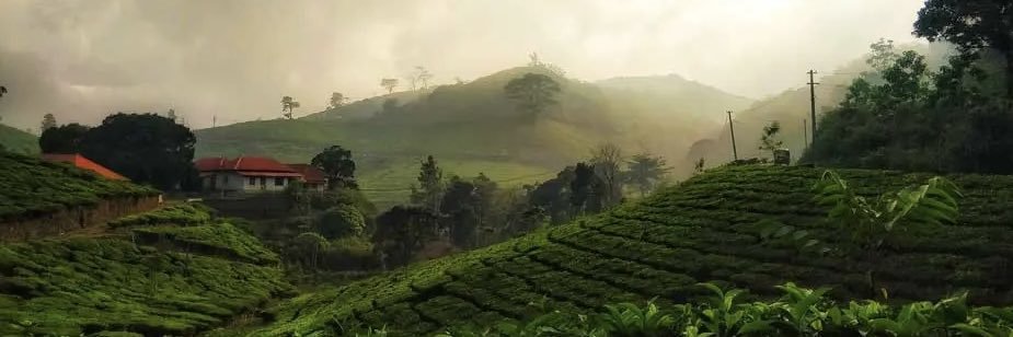 Bhuvanesh_r_'s profile banner image