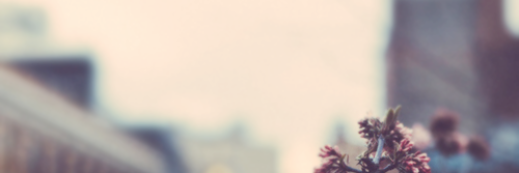 shafireee's profile banner image