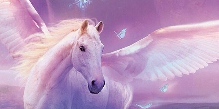 jixcalet's profile banner image