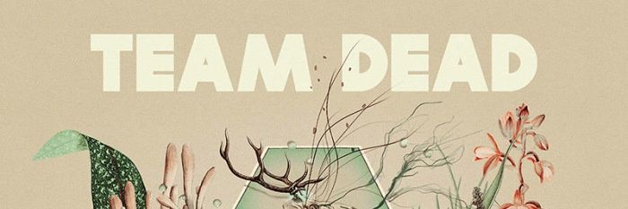Direct banner