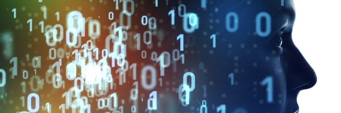 Phillip Wolff banner