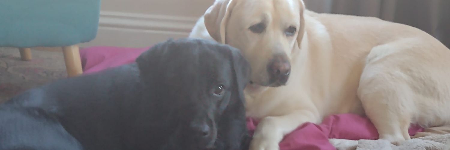 gjg3003's profile banner image