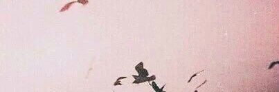 exyapatuh's profile banner image
