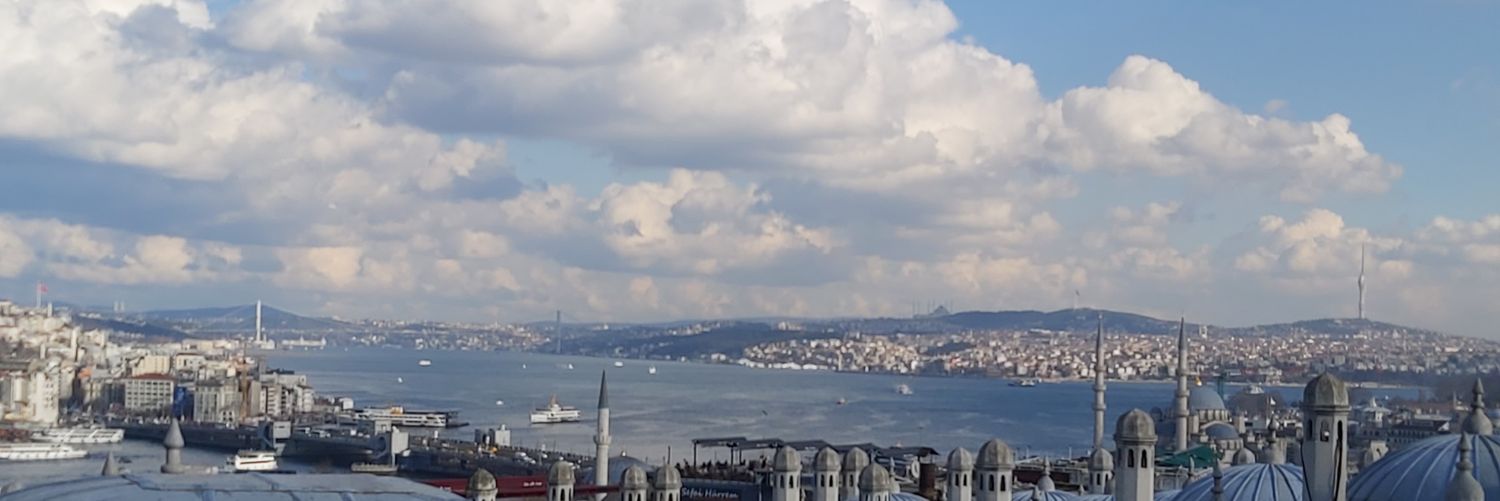 Ali bey banner