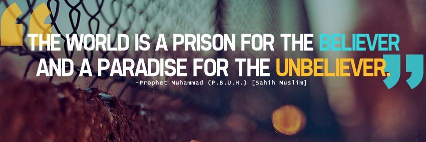 mohddnasim's profile banner image