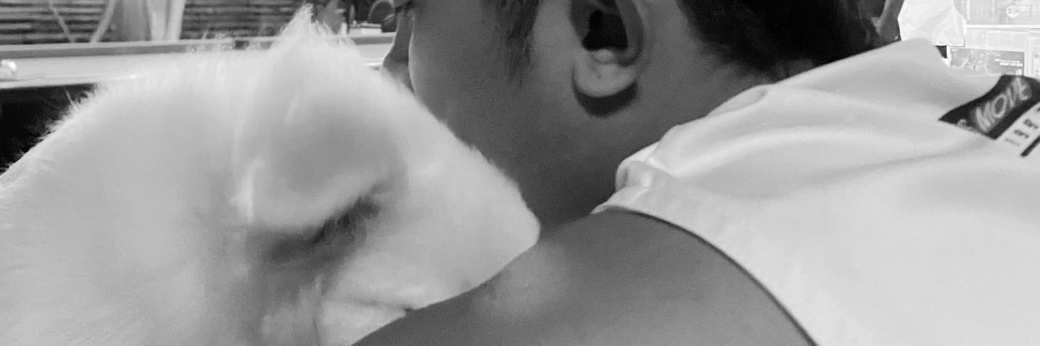 franzapolonio's profile banner image