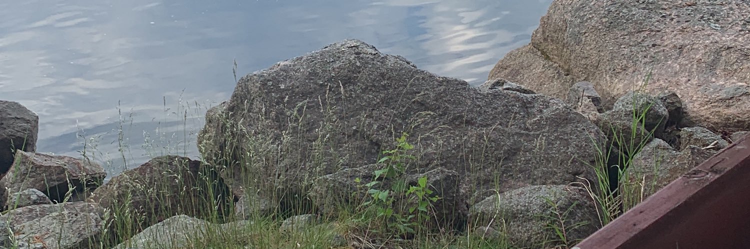 SpaS 🌻💙💛🕊🏳️‍🌈 banner