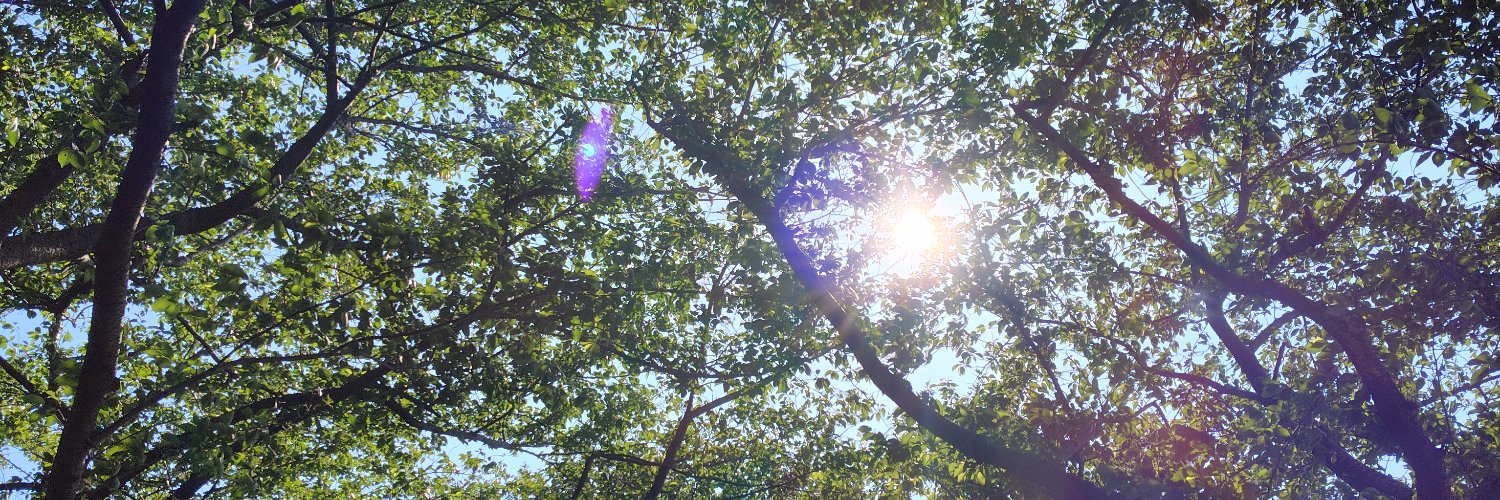 mintcice's profile banner image