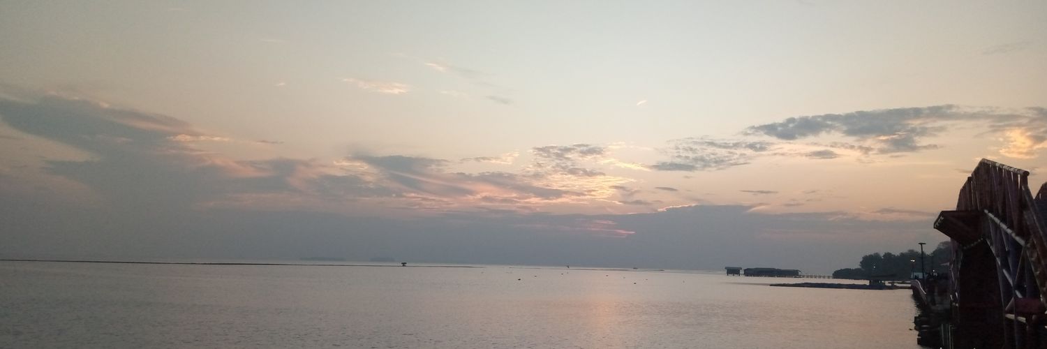 dizzafitrii's profile banner image