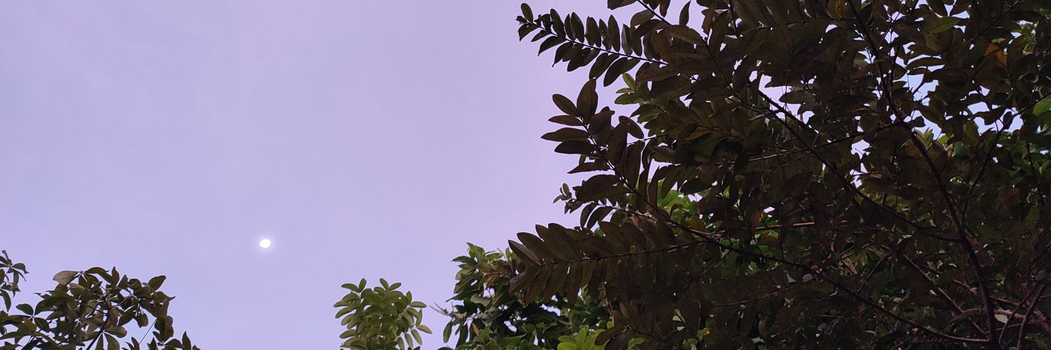 Leeaaadd's profile banner image