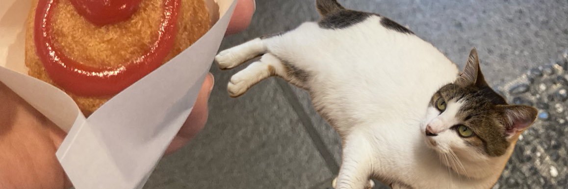 _trrrr_'s profile banner image