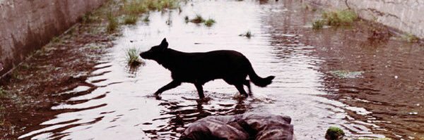 Fred Macpherson banner