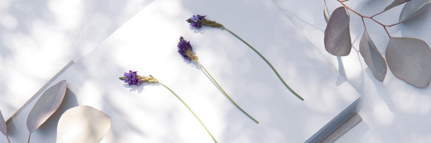 SBCGINZA's profile banner image
