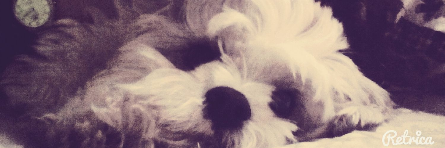 MariaRoquetera's profile banner image