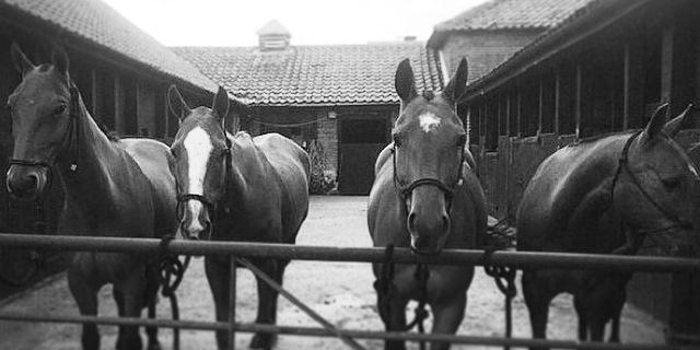 Charlene Goudkuil banner