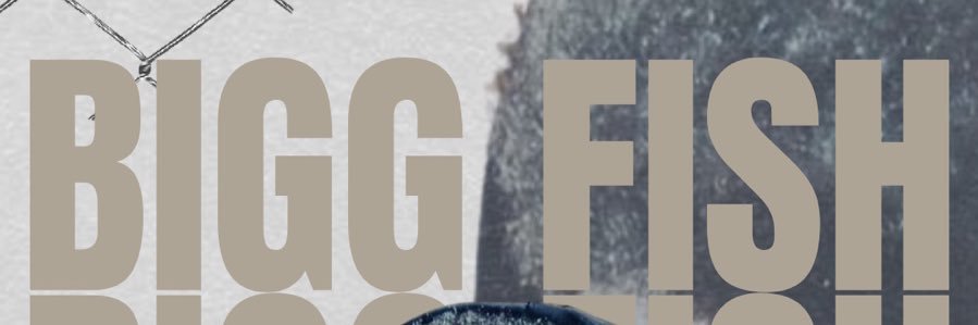 oficialbiggfish's profile banner image