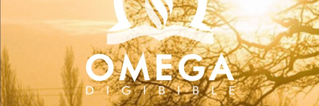 gracebinwag's profile banner image