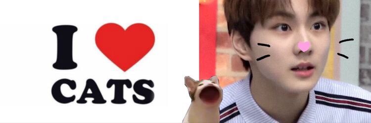 itsmemads__'s profile banner image